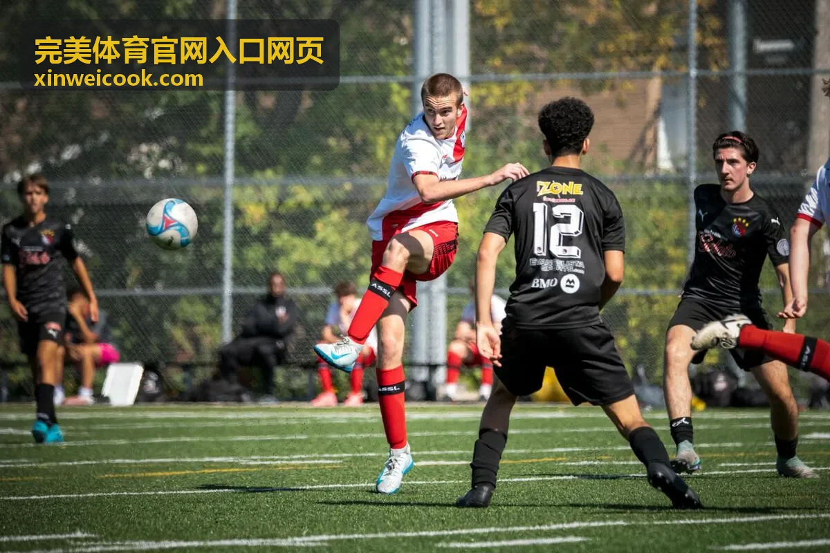 完美体育官网入口网页综合赛事日程汇总条目封面