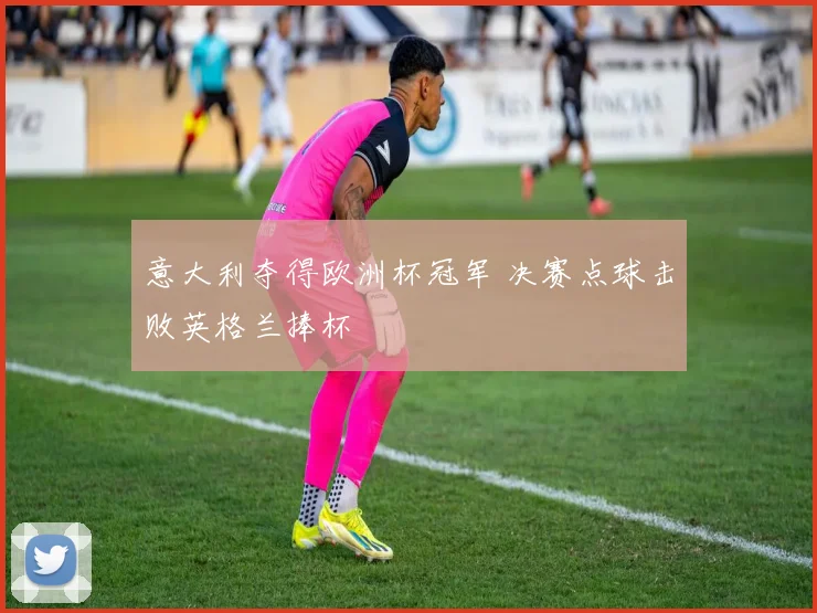 意大利夺得欧洲杯冠军 决赛点球击败英格兰捧杯