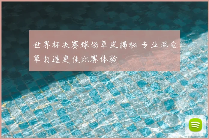 世界杯决赛球场草皮揭秘 专业混合草打造更佳比赛体验