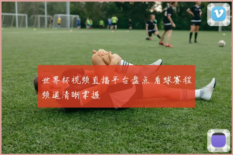 世界杯视频直播平台盘点 看球赛程频道清晰掌握