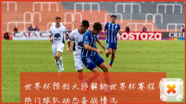 世界杯预测大师解析世界杯赛程与热门球队动态备战情况