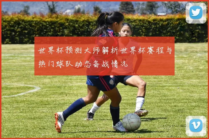 世界杯预测大师解析世界杯赛程与热门球队动态备战情况
