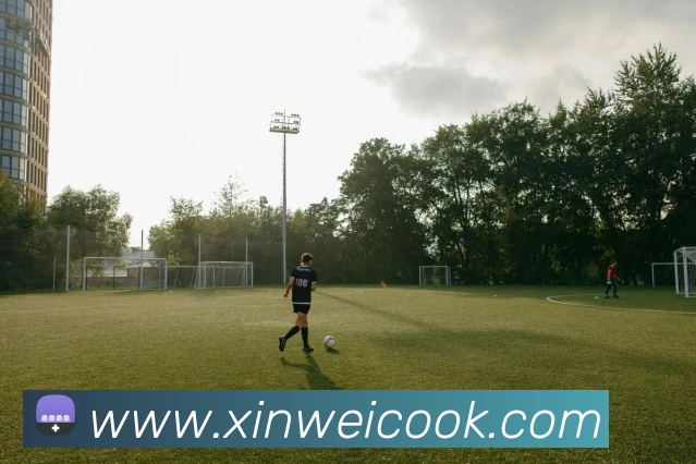 乐竞体育网站首页发展历程